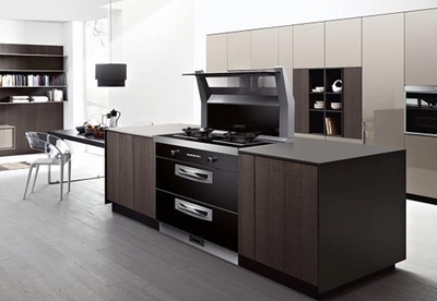 2019年集成灶前三甲品牌排名榜