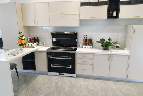 升級廚房四樣高級貨，凈水機讓生活更健康便捷