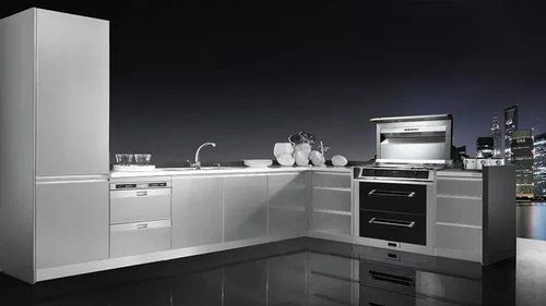 疫后家電市場新趨勢 集成灶銷量迅猛回升，凈水機需求持續(xù)增長